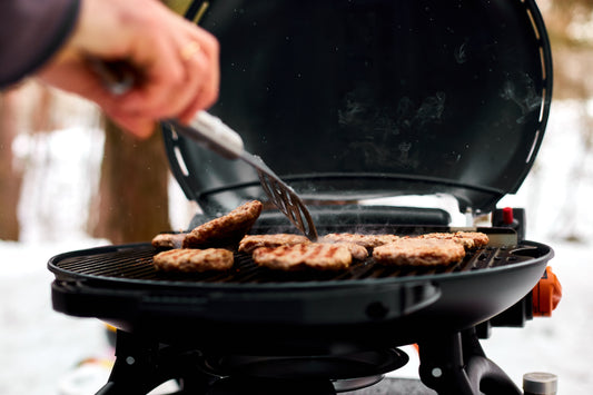 Day Tripping With Your Portable Barbeque