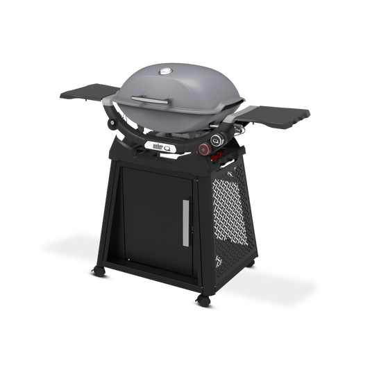 Weber - Q 2800N+ Gas Grill with Premium Stand - Smoke Grey