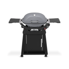 Weber - Q 2800N+ Gas Grill with Premium Stand - Smoke Grey