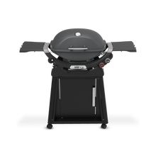 Weber - Q 2800N+ Gas Grill with Premium Stand - Charcoal