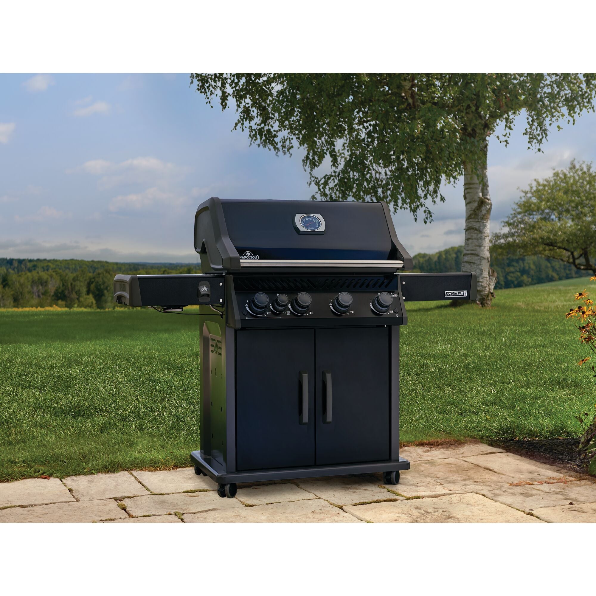 Napoleon Rogue Pro 525 SIB Gas Grill - Black – Luxe Barbeque Company