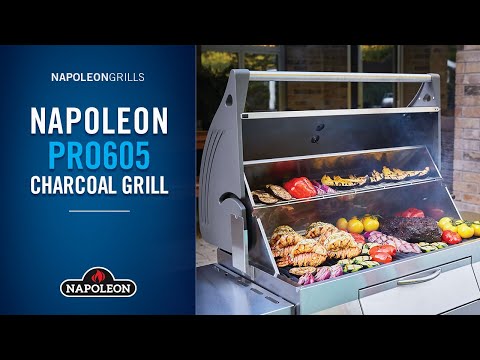 Napoleon BBQ Charcoal Professional Grill Luxe Barbeque Company