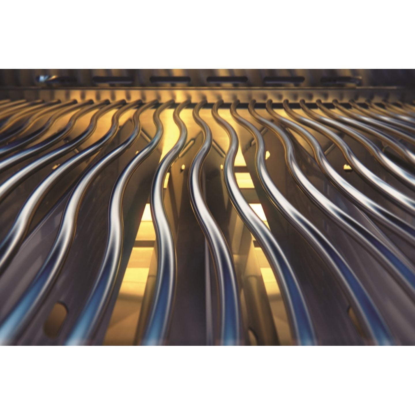 Napoleon Rogue 425 Ambiance Gas Grill Canada | Luxe Barbeque Company Winnipeg