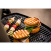 Weber Q 1200 Gas Grill - Titanium